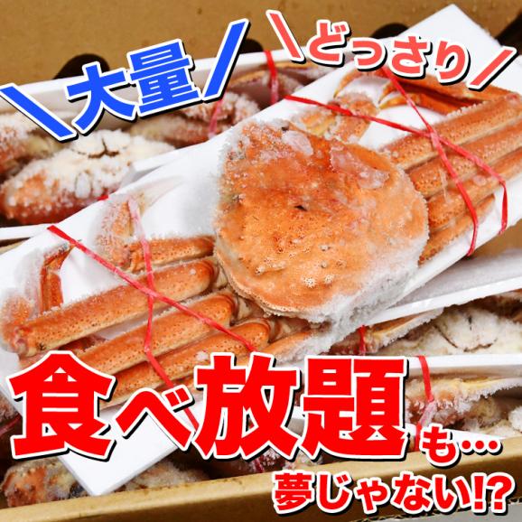 【在庫限り/お一人様2コまで】北海道産 オオ ズワイガニ 姿 6~7尾入り合計2kg前後 (1尾あたり約280~330g) オオズワイガニ カニ 蟹 かに パーティー【のし不可】06