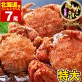 在庫限り最安値に挑戦 年末指定は備考欄で受付中 特大 毛ガニ 570g 前後&times;7尾 北海道産 姿 味噌 けがに 毛がに カニ 蟹 かに 折脚たし脚入る場合あり 2点以上から注文数に応じオマケ付き