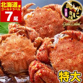 在庫限り最安値に挑戦 年末指定は備考欄で受付中 特大 毛ガニ 570g 前後×7尾 北海道産 姿 味噌 けがに 毛がに カニ 蟹 かに 折脚たし脚入る場合あり 2点以上から注文数に応じオマケ付き