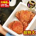 在庫限り最安値に挑戦 年末指定は備考欄で受付中 超超特大 毛ガニ 800g 前後×5尾 北海道産 姿 味噌 けがに 毛がに カニ 蟹 かに 折脚たし脚入る場合あり 2点以上から注文数に応じオマケ付き