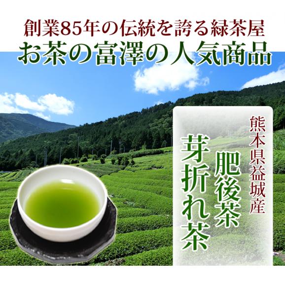 熊本県益城産 肥後茶 芽折れ茶50g×2 送料無料 お茶 日本茶02
