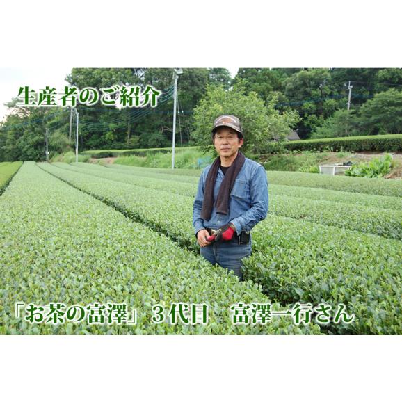 熊本県益城産 肥後茶 芽折れ茶50g×2 送料無料 お茶 日本茶05