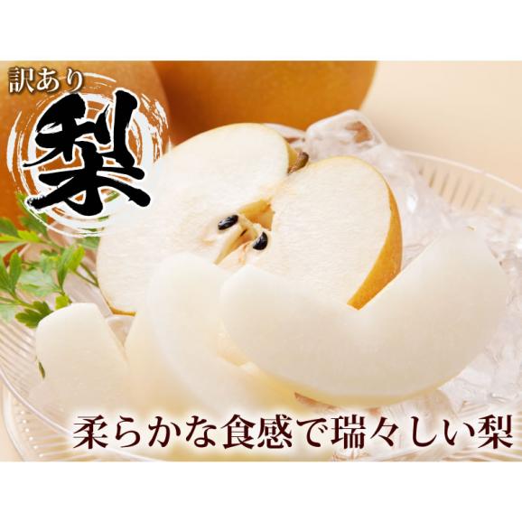 梨 送料無料 訳あり 1kg 2セットで1セットおまけ お取り寄せ 九州産 ナシ 和梨 幸水 豊水 秋月 新高 新興 愛宕02