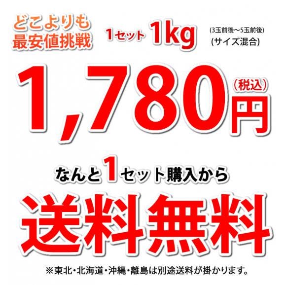 梨 送料無料 訳あり 1kg 2セットで1セットおまけ お取り寄せ 九州産 ナシ 和梨 幸水 豊水 秋月 新高 新興 愛宕04