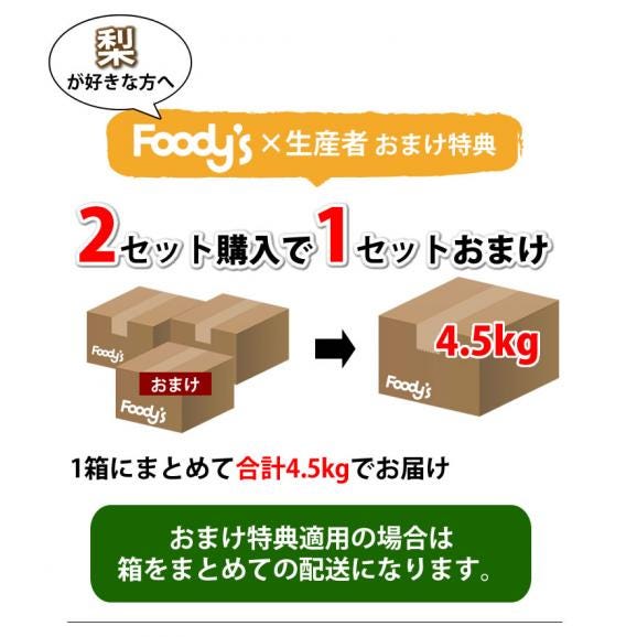 梨 送料無料 訳あり 1kg 2セットで1セットおまけ お取り寄せ 九州産 ナシ 和梨 幸水 豊水 秋月 新高 新興 愛宕05