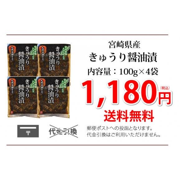 漬物 きゅうり醤油漬 無添加 400g(100g×4袋) 送料無料 九州醤油仕立て ポッキリ お試し 宮崎県産 お取り寄せ きゅうり つけもの03