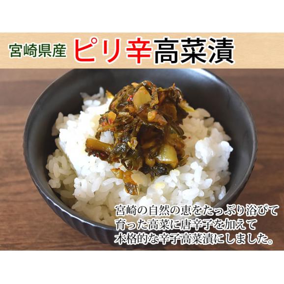 辛子高菜漬 高菜 漬物 150g×4袋 ポイント消化 お試し お取り寄せ 宮崎県産 ピリ辛たかな つけもの02