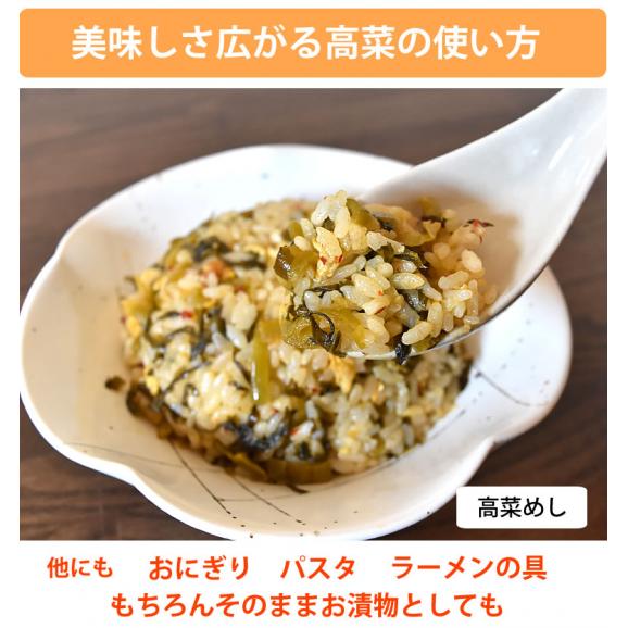 辛子高菜漬 高菜 漬物 150g×4袋 ポイント消化 お試し お取り寄せ 宮崎県産 ピリ辛たかな つけもの05
