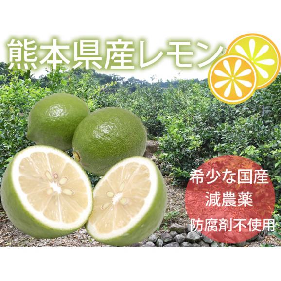 レモン 国産レモン 送料無料 熊本県産 4kg 2S～L 3箱購入で1箱おまけ 減農薬 防腐剤ワックス不使用 れもん グリーンレモン 国産02