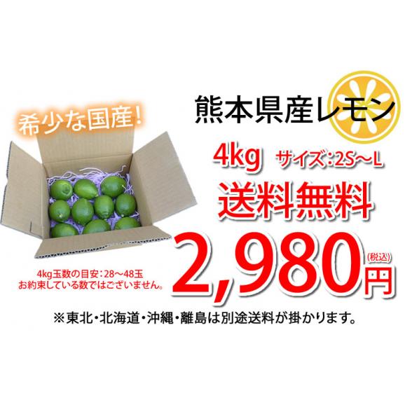 レモン 国産レモン 送料無料 熊本県産 4kg 2S～L 3箱購入で1箱おまけ 減農薬 防腐剤ワックス不使用 れもん グリーンレモン 国産03