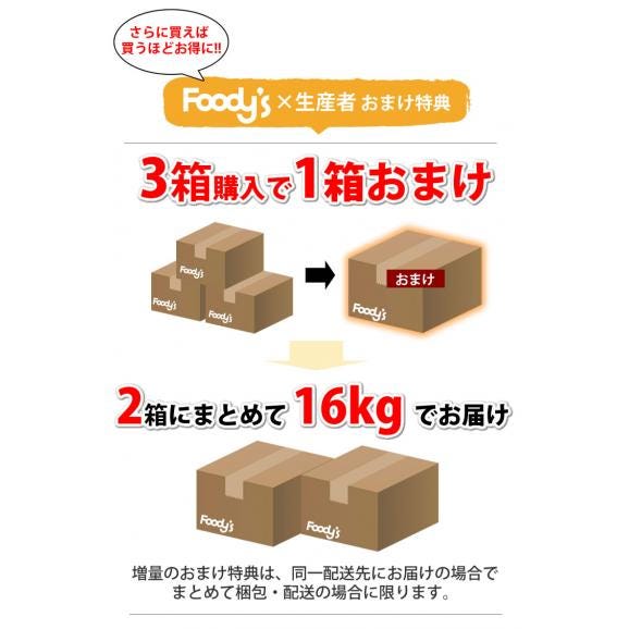 レモン 国産レモン 送料無料 熊本県産 4kg 2S～L 3箱購入で1箱おまけ 減農薬 防腐剤ワックス不使用 れもん グリーンレモン 国産04