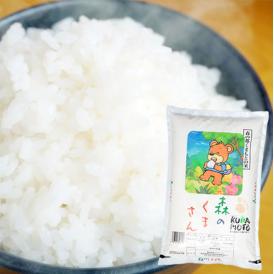 森のくまさん 米 送料無料 5kg 令和5年産 新米 熊本県産 白米 お米 こめ 新米 ひのひかり こしひかり