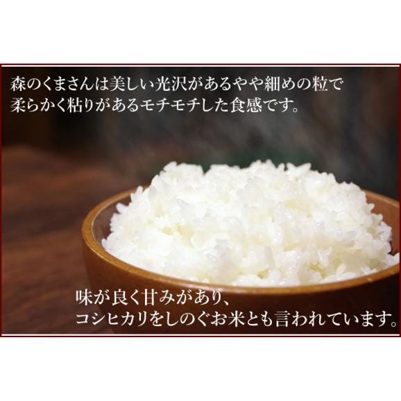 森のくまさん 米 送料無料 5kg 令和5年産 新米 熊本県産 白米 お米 こめ 新米 ひのひかり こしひかり05