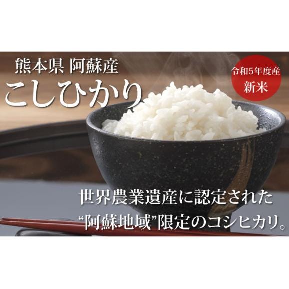 こしひかり 5kg 米 送料無料 熊本県阿蘇産 新米 令和5年産 お米 白米 玄米 ひのひかり 森のくまさん02