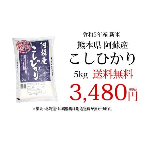 こしひかり 5kg 米 送料無料 熊本県阿蘇産 新米 令和5年産 お米 白米 玄米 ひのひかり 森のくまさん03