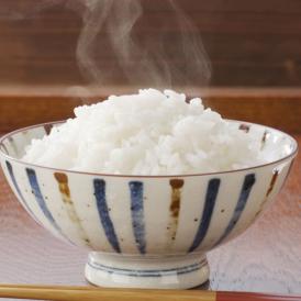 ひのひかり 米 送料無料 10kg 令和5年産 新米 熊本県産 お米 白米 玄米 コシヒカリ 森のくまさん