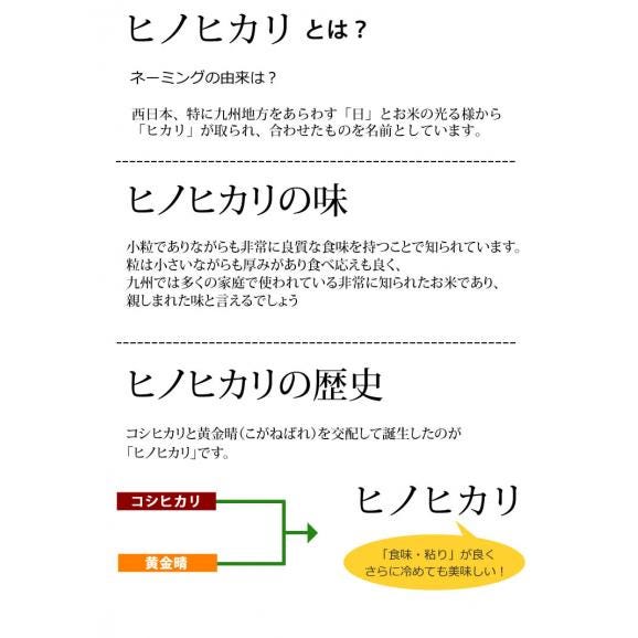 ひのひかり 米 送料無料 10kg 令和5年産 新米 熊本県産 お米 白米 玄米 コシヒカリ 森のくまさん04