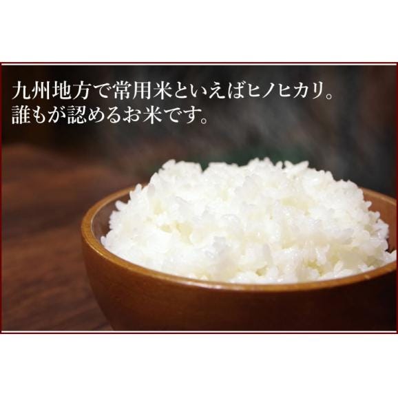 ひのひかり 米 送料無料 10kg 令和5年産 新米 熊本県産 お米 白米 玄米 コシヒカリ 森のくまさん05