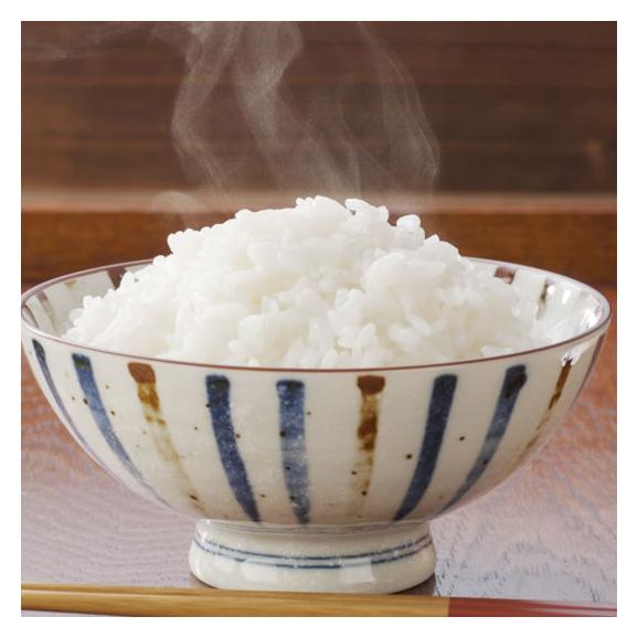 ひのひかり 米 送料無料 5kg 令和5年産 新米 熊本県産 お米 白米 玄米 コシヒカリ 森のくまさん01