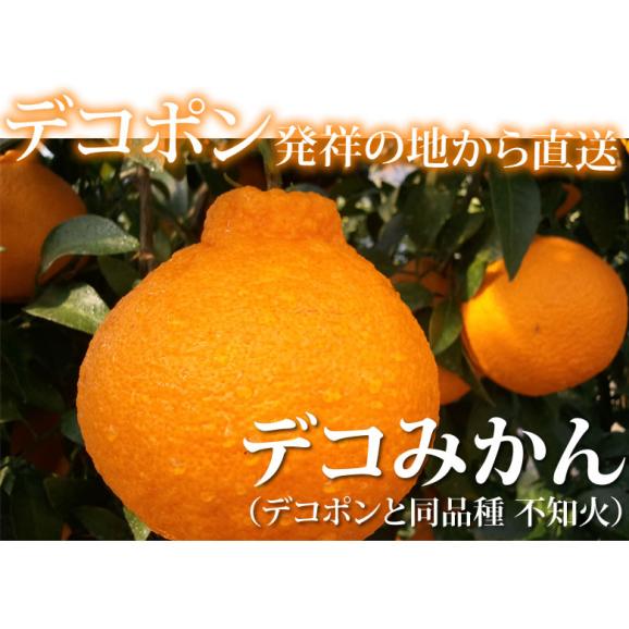 デコポン 同品種 特選デコみかん 送料無料 秀品2kg 3箱購入で1箱おまけ 希少な加温ハウス栽培 みかん 不知火 お取り寄せ ギフト フルーツ02