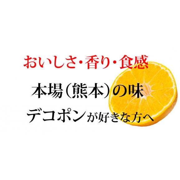 デコポン 同品種 特選デコみかん 送料無料 秀品2kg 3箱購入で1箱おまけ 希少な加温ハウス栽培 みかん 不知火 お取り寄せ ギフト フルーツ03