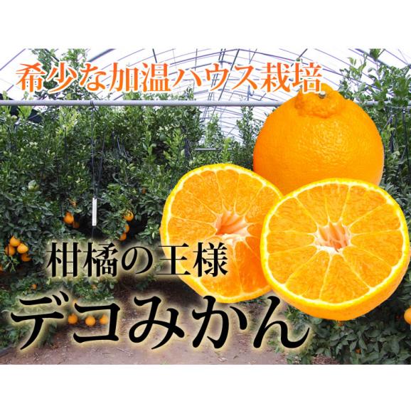 デコポン 同品種 特選デコみかん 送料無料 秀品2kg 3箱購入で1箱おまけ 希少な加温ハウス栽培 みかん 不知火 お取り寄せ ギフト フルーツ04