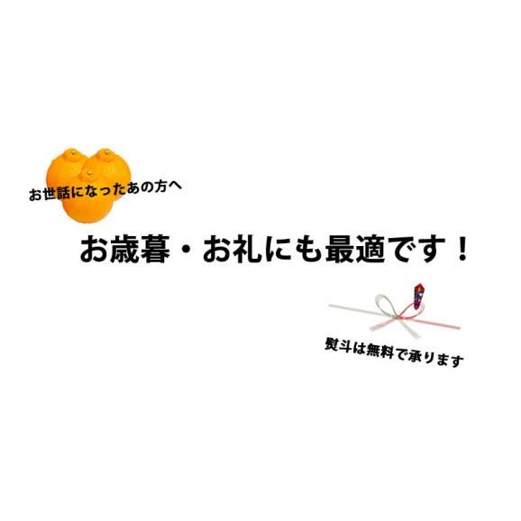 デコポン 同品種 特選デコみかん 送料無料 秀品2kg 3箱購入で1箱おまけ 希少な加温ハウス栽培 みかん 不知火 お取り寄せ ギフト フルーツ05