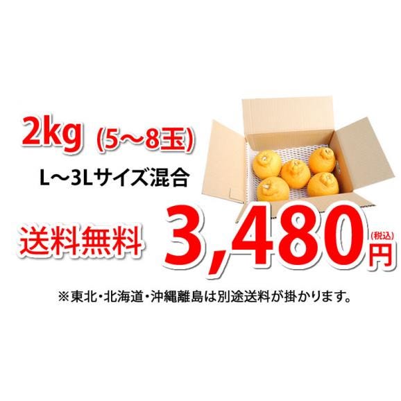 デコポン 同品種 特選デコみかん 送料無料 秀品2kg 3箱購入で1箱おまけ 希少な加温ハウス栽培 みかん 不知火 お取り寄せ ギフト フルーツ06