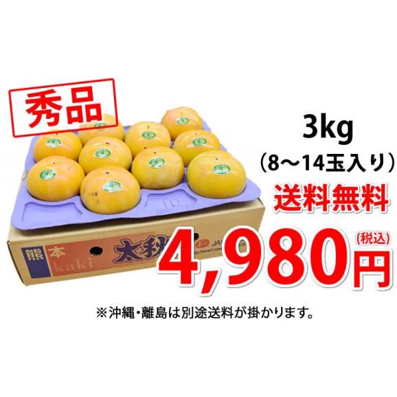 太秋柿 柿 送料無料 秀品3kg  8～14玉入り 熊本・福岡県産 太秋 かき カキ03