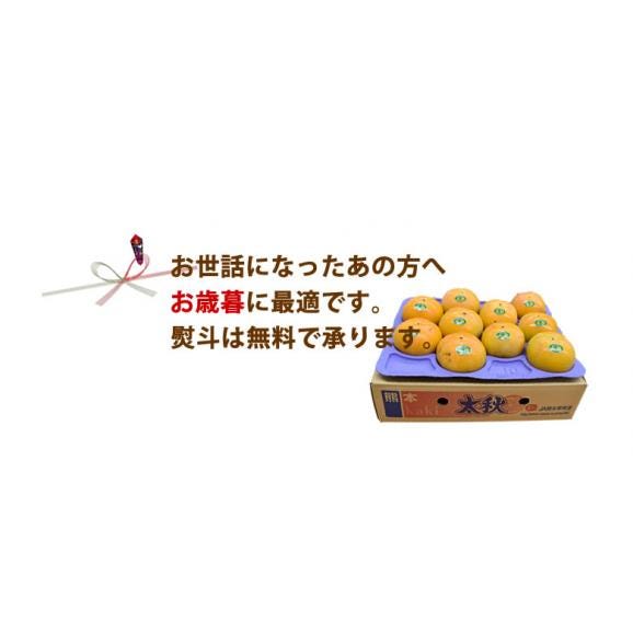 太秋柿 柿 送料無料 秀品3kg  8～14玉入り 熊本・福岡県産 太秋 かき カキ04