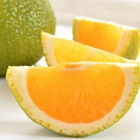 スイートスプリング 5kg みかん 送料無料 訳あり 熊本県産 2箱購入で1箱おまけ 爽やかな甘さと香り 蜜柑 温州みかん 八朔