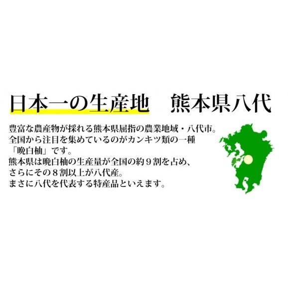 晩白柚 みかん ばんぺいゆ 送料無料 特選 約3kg～4kg 2玉入 M〜2Lサイズ  世界最大級の柑橘 熊本県八代産 蜜柑 ミカン05