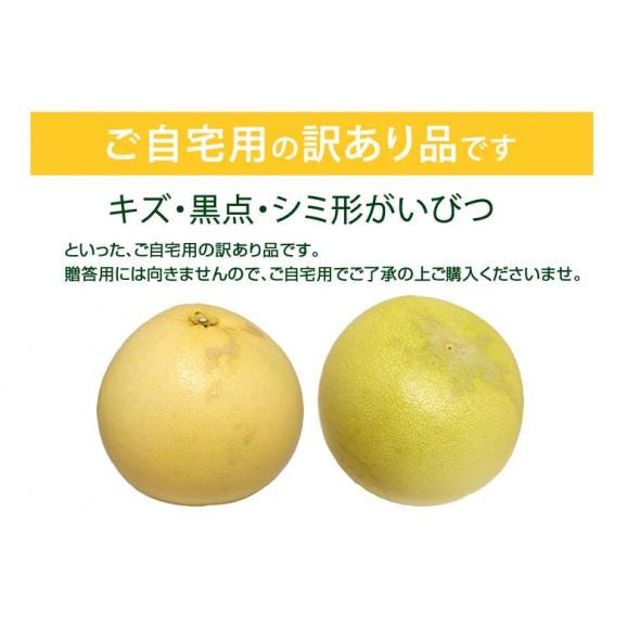 晩白柚 みかん ばんぺいゆ 訳あり 送料無料 約3kg〜4kg 2玉入 M〜2Lサイズ 世界最大級の柑橘 熊本県八代産 蜜柑 ミカン05