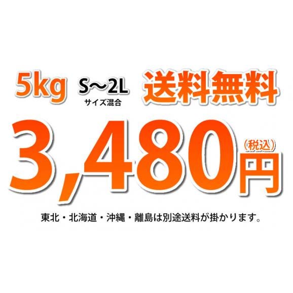 はるか みかん 送料無料 秀品 5kg S～2L 平成生まれの品種 はるかみかん ミカン 蜜柑03