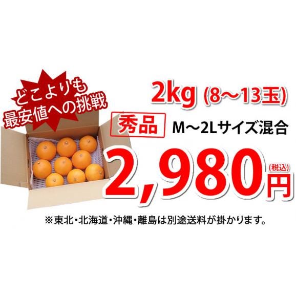 せとか みかん 送料無料 ハウス栽培 秀品 2kg 8~13玉 3箱購入で1箱おまけ 希少品種 熊本県産 蜜柑 清見 アンコール マーコット04
