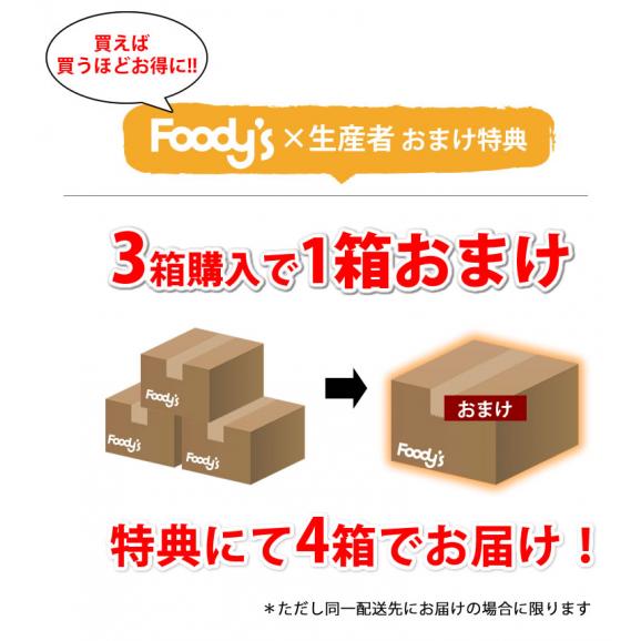 せとか みかん 送料無料 ハウス栽培 秀品 2kg 8~13玉 3箱購入で1箱おまけ 希少品種 熊本県産 蜜柑 清見 アンコール マーコット05
