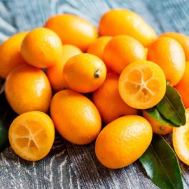 金柑 みかん 完熟フルーツきんかん 送料無料 1kg 2セット購入で1セットおまけ 熊本県産 フルーツ お取り寄せ ハウス栽培  柑橘