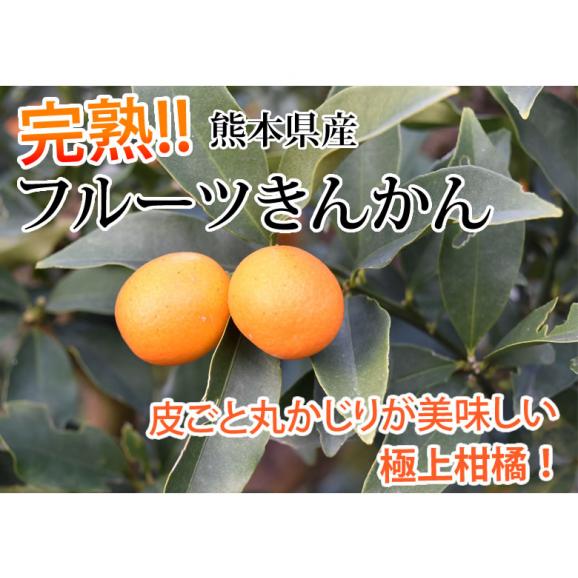 金柑 みかん 完熟フルーツきんかん 送料無料 1kg 2セット購入で1セットおまけ 熊本県産 フルーツ お取り寄せ ハウス栽培  柑橘02