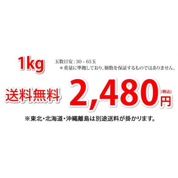 金柑 みかん 完熟フルーツきんかん 送料無料 1kg 2セット購入で1セットおまけ 熊本県産 フルーツ お取り寄せ ハウス栽培  柑橘04