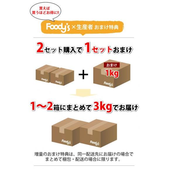 金柑 みかん 完熟フルーツきんかん 送料無料 1kg 2セット購入で1セットおまけ 熊本県産 フルーツ お取り寄せ ハウス栽培  柑橘05