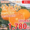 せとか みかん 訳あり 送料無料 2kg 3箱購入で1箱おまけ ハウス栽培 希少品種 熊本県産 せとかみかん 蜜柑 オレンジ 清見 アンコール マーコット