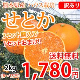 せとか みかん 訳あり 送料無料 2kg 3箱購入で1箱おまけ ハウス栽培 希少品種 熊本県産 せとかみかん 蜜柑 オレンジ 清見 アンコール マーコット