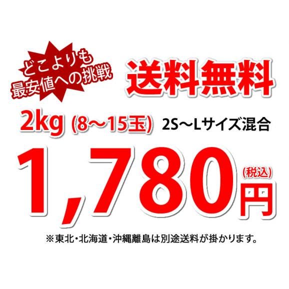 せとか みかん 訳あり 送料無料 2kg 3箱購入で1箱おまけ ハウス栽培 希少品種 熊本県産 せとかみかん 蜜柑 オレンジ 清見 アンコール マーコット04