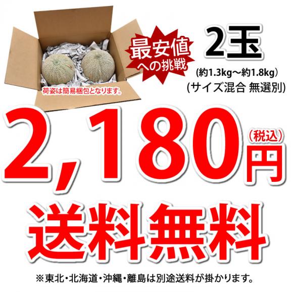 メロン 訳あり 小玉 赤肉メロン 送料無料 2玉 2セット購入で1セットおまけ 熊本県産 クインシーメロン フルーツ04