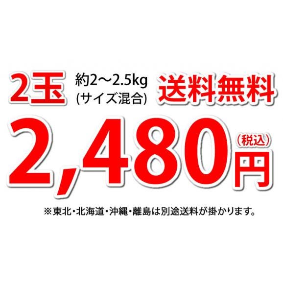 スイカ 訳あり 小玉すいか 送料無料 2玉 約2～2.5kg 熊本すいか すいか 西瓜 ひとりじめ 果物 フルーツ03