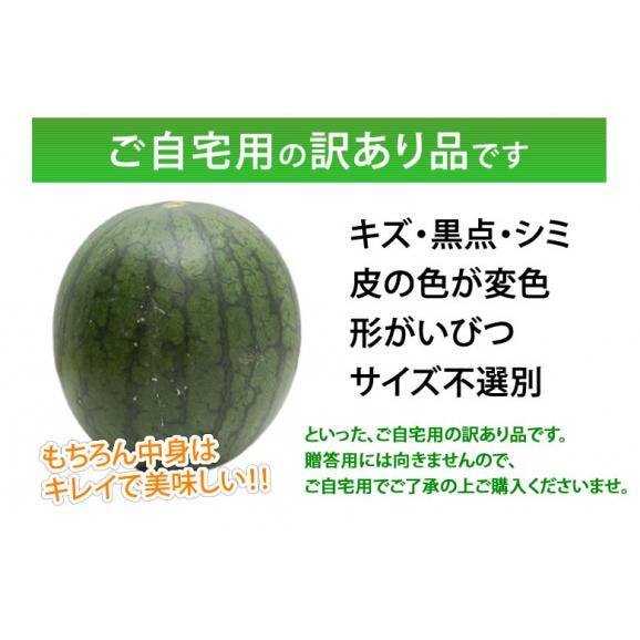 スイカ 訳あり 小玉すいか 送料無料 2玉 約2～2.5kg 熊本すいか すいか 西瓜 ひとりじめ 果物 フルーツ04