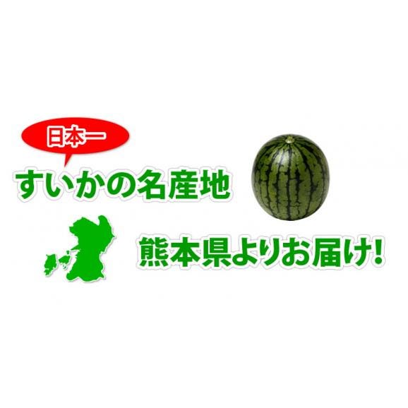 スイカ 訳あり 小玉すいか 送料無料 2玉 約2～2.5kg 熊本すいか すいか 西瓜 ひとりじめ 果物 フルーツ05