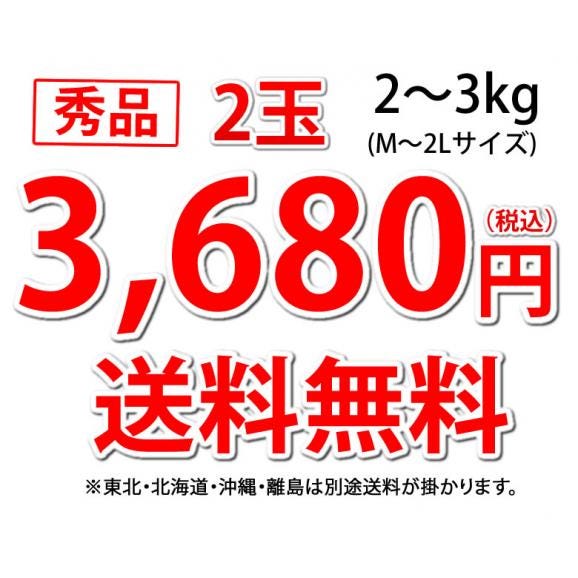すいか 小玉すいか ひとりじめ 送料無料 秀品2玉 約2～3kg 熊本県産 西瓜 スイカ 04