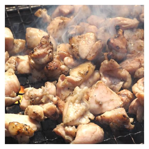 鶏もも炭火焼き 送料無料 本場 宮崎名物 100g ポイント消化 お取り寄せ 国産 おつまみ 焼き鳥 地鶏 鶏01