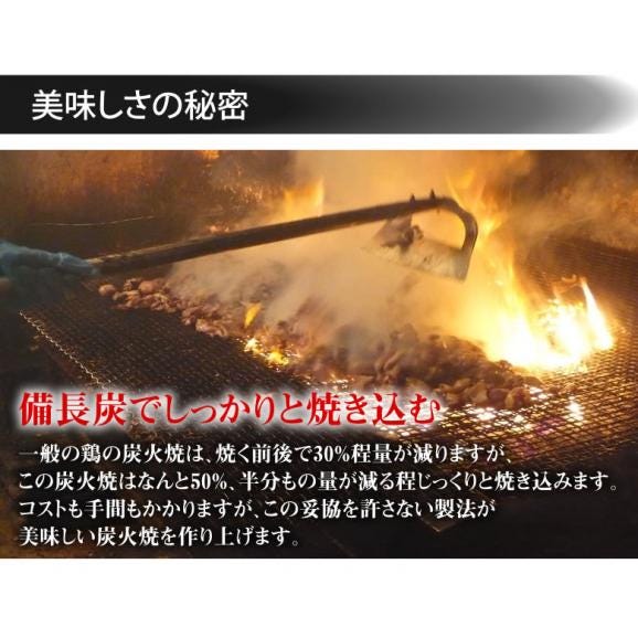 鶏もも炭火焼き 送料無料 本場 宮崎名物 100g ポイント消化 お取り寄せ 国産 おつまみ 焼き鳥 地鶏 鶏05